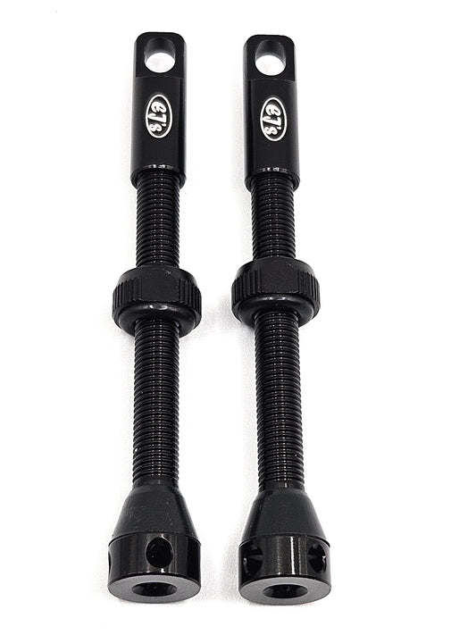 Tubeless Tire Presta Valve Set 60mm (for Peatys Muc Off DT Swiss) MTB Road Bike